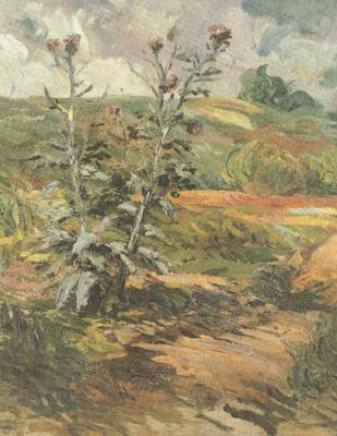Vincent Van Gogh Two Thistles (nn04) Spain oil painting art